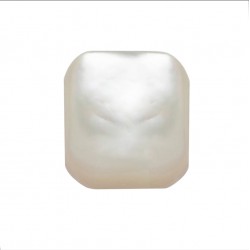 MOTHER OF PEARL WHITE OCTAGON CABOCHON 