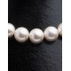 SHELL PEARL N.210 COLOR CREAM STRING ROUND 12mm